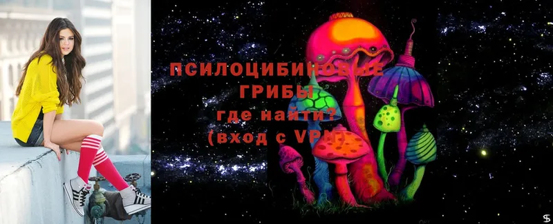 Псилоцибиновые грибы Cubensis  darknet наркотические препараты  Нижняя Салда 